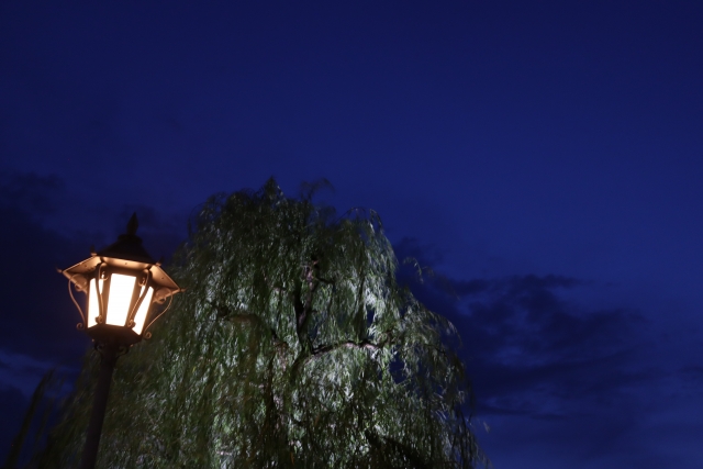 Willow tree and Japanese Yokai "Yanagi baba"