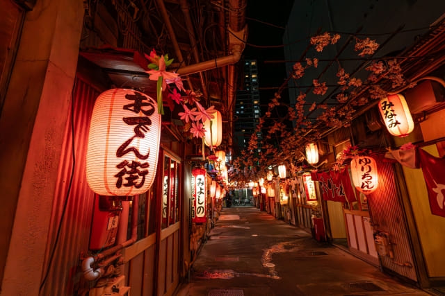 Japanese Paper Lanterns (Chochin)