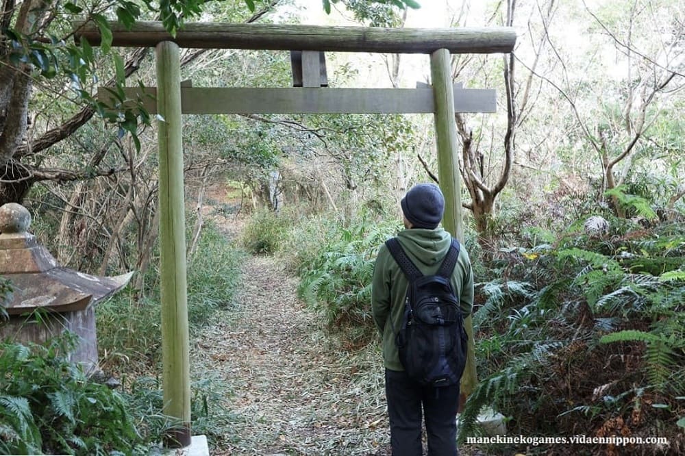 Torii: Japan’s Sacred Gateway