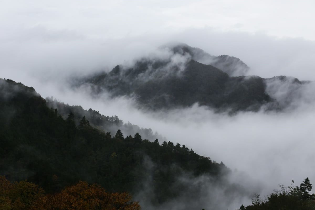 Yaoyorozu no Kami: Japan’s Countless Deities