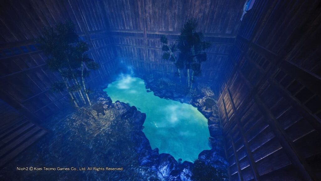 Japan's hot springs : Real and Virtual Adventures