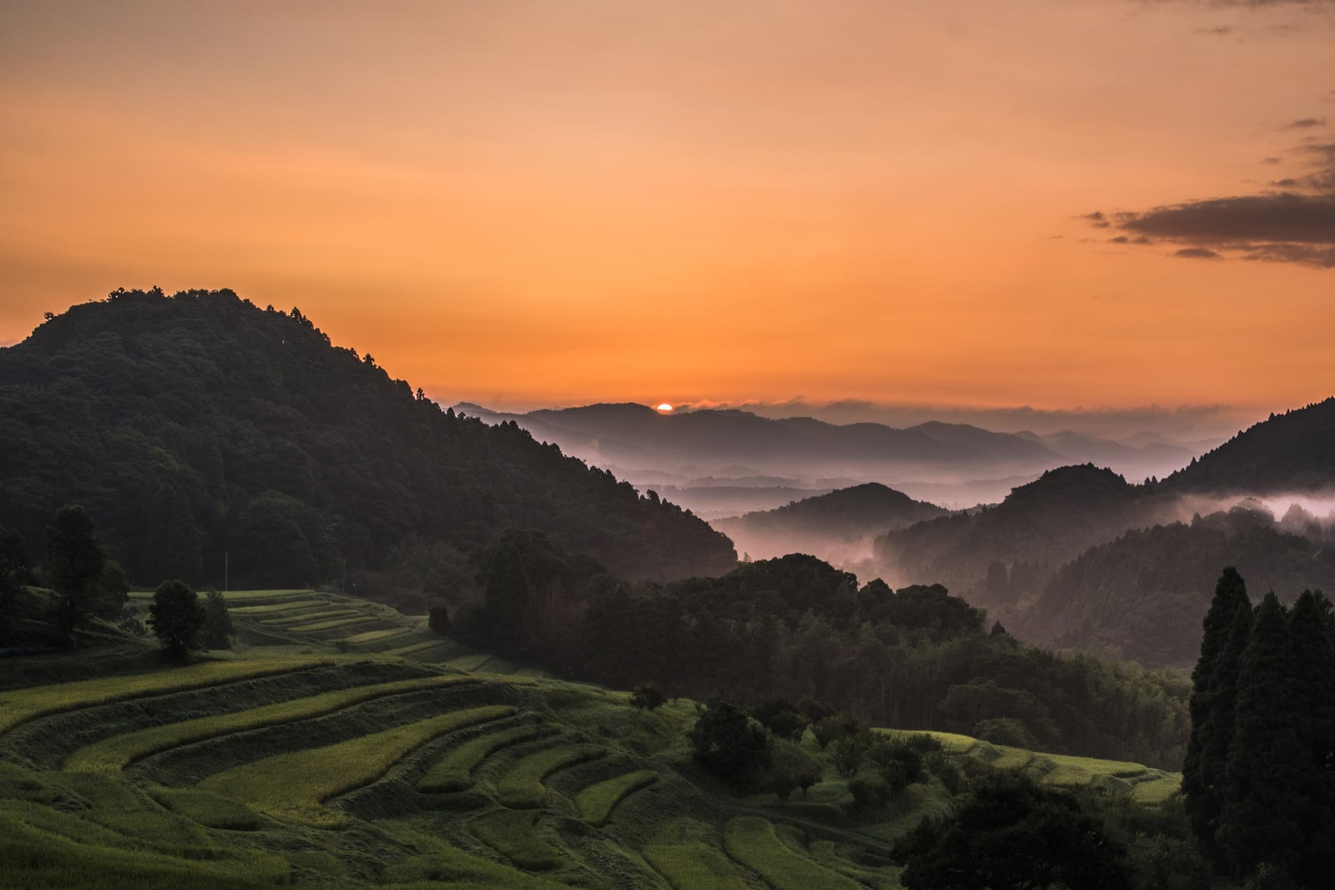 Tanada: Japan’s Iconic Terraced Rice Fields