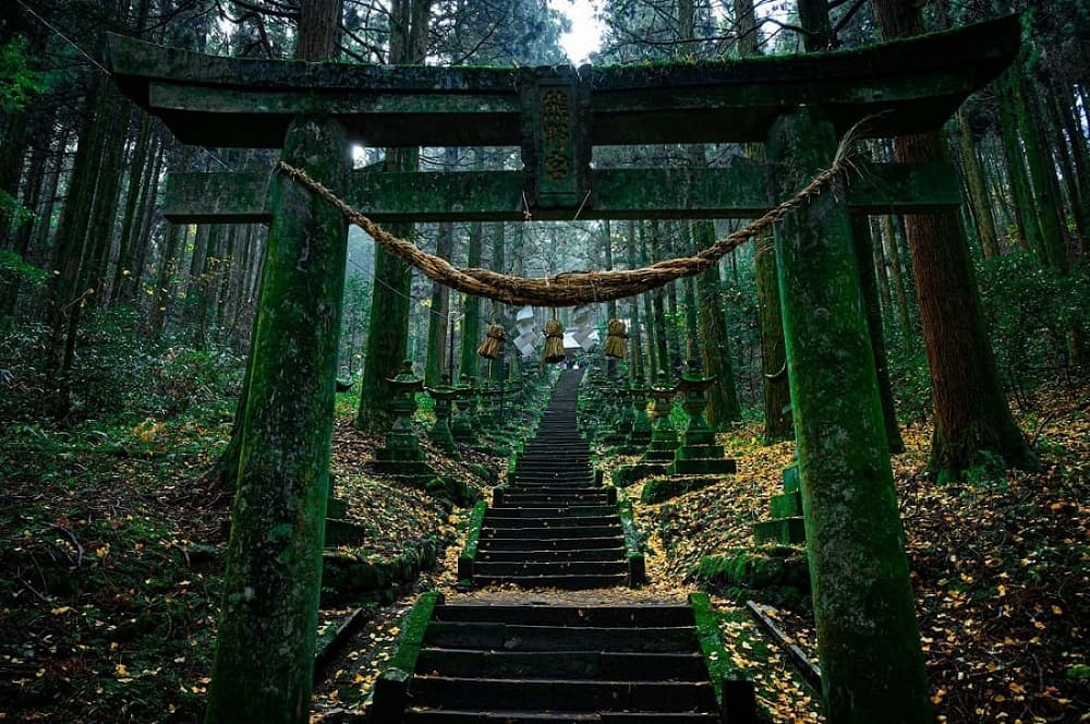 Torii: Japan’s Sacred Gateway