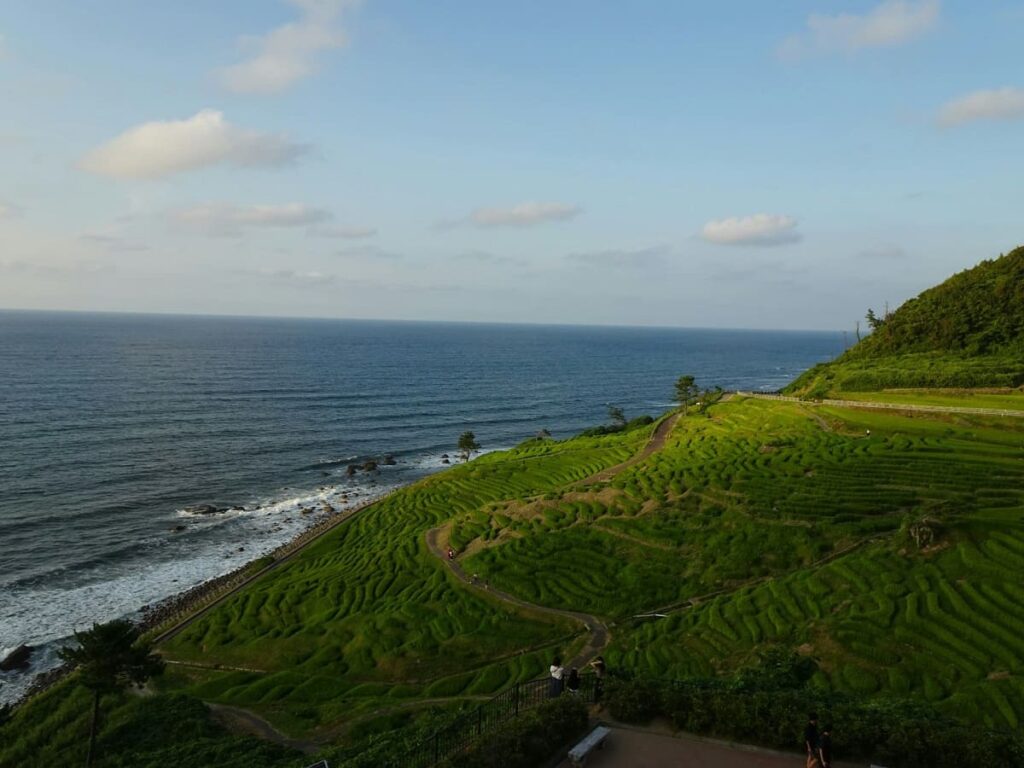 Tanada: Japan’s Iconic Terraced Rice Fields