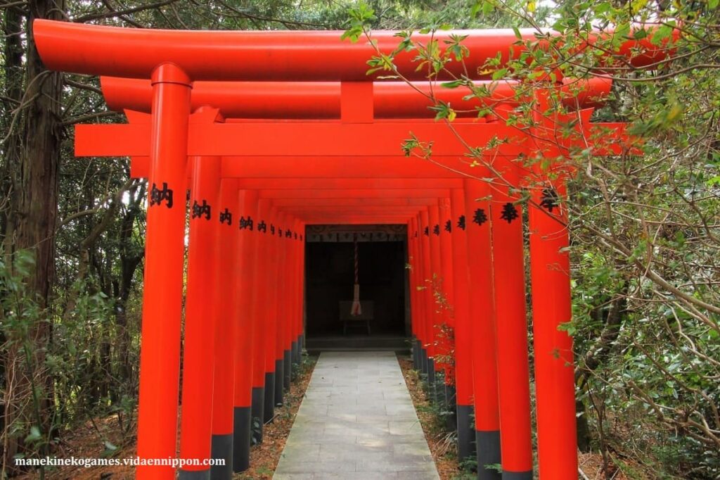 Torii: Japan’s Sacred Gateway