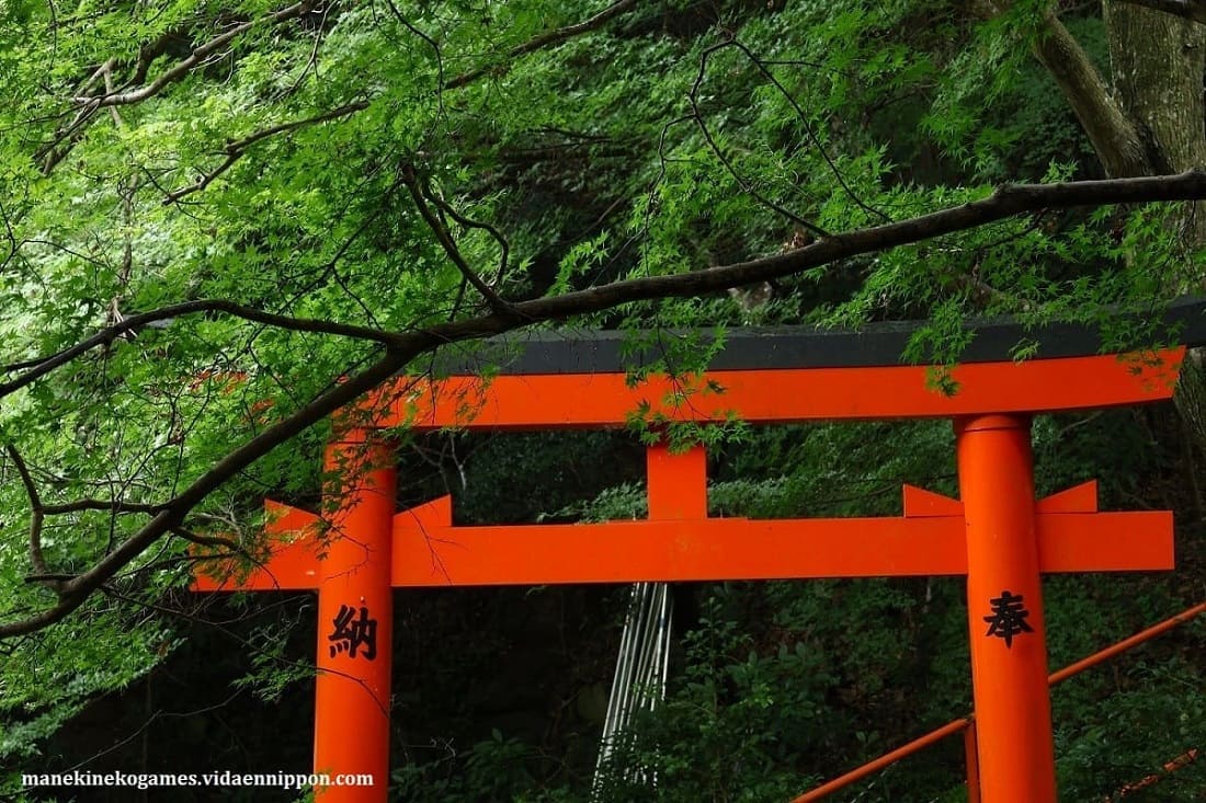 Torii: Japan’s Sacred Gateway