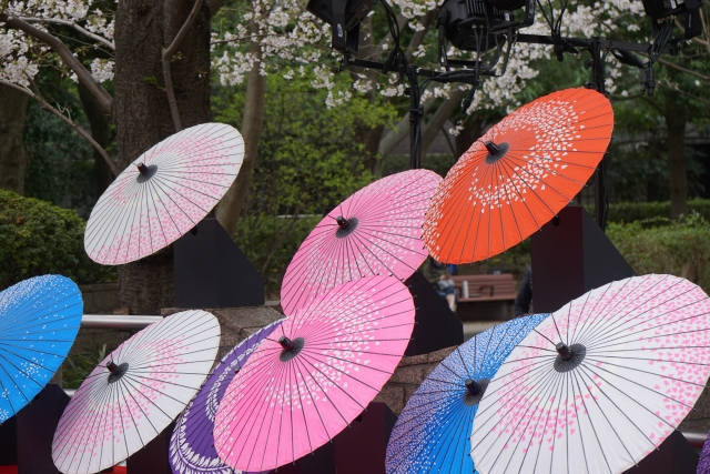 Wagasa: Japan's Traditional Umbrella