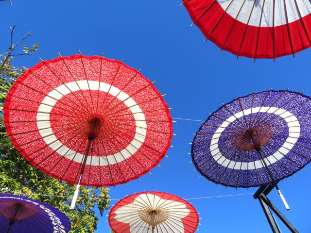 Wagasa: Japan's Traditional Umbrella