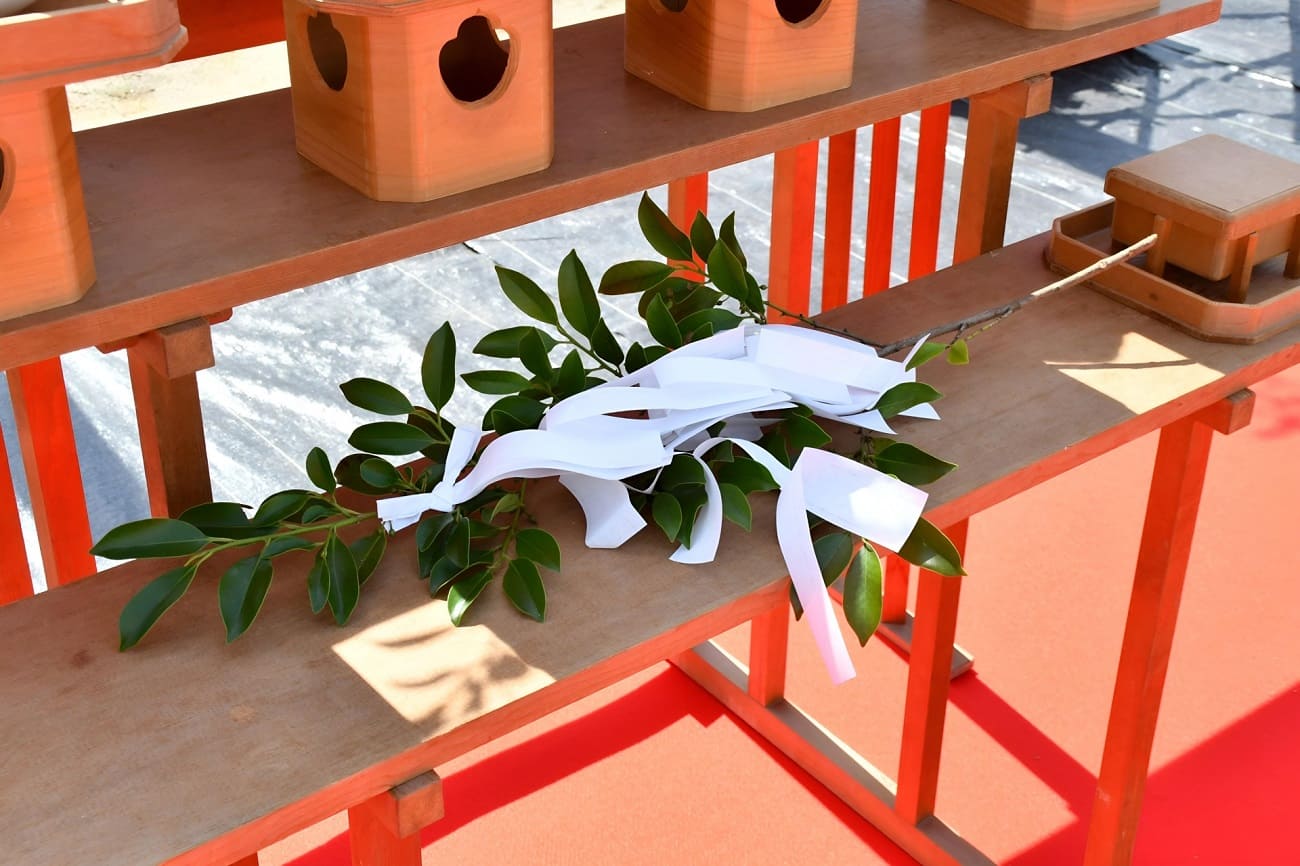 Sakaki: Japan’s Sacred Tree in Shrines and Rituals