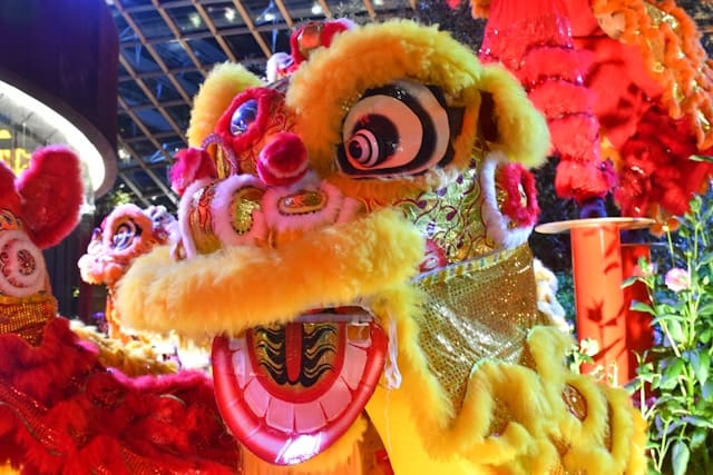 Shishimai: Japan's Traditional Lion Dance