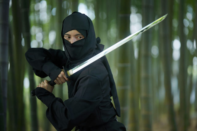 What Were Ninja? Uncover Their Role in Japanese History