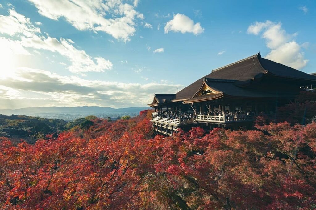 Goshuin : Japan's Sacred Seals | A Beginner's Guide