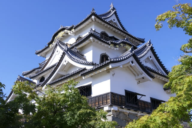 Japanese Castles: History, Role, and Why Most Disappeared
Famous for its breathtaking cherry blossoms in spring.