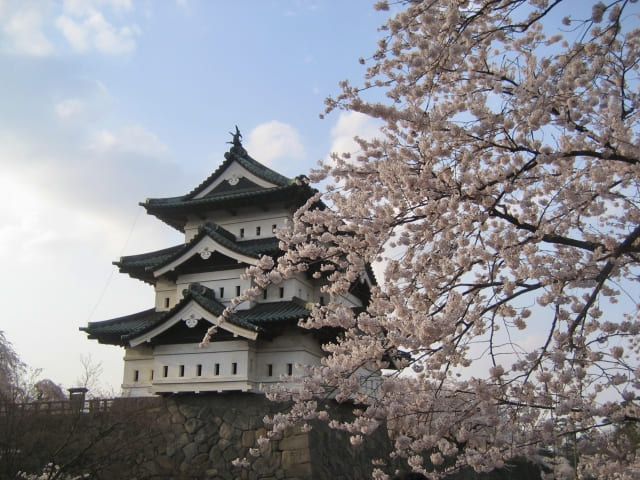 Japanese Castles: History, Role, and Why Most Disappeared