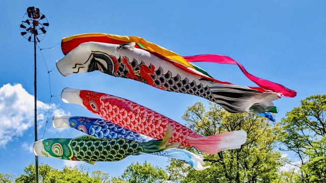 Japan’s Koinobori: History & Meaning