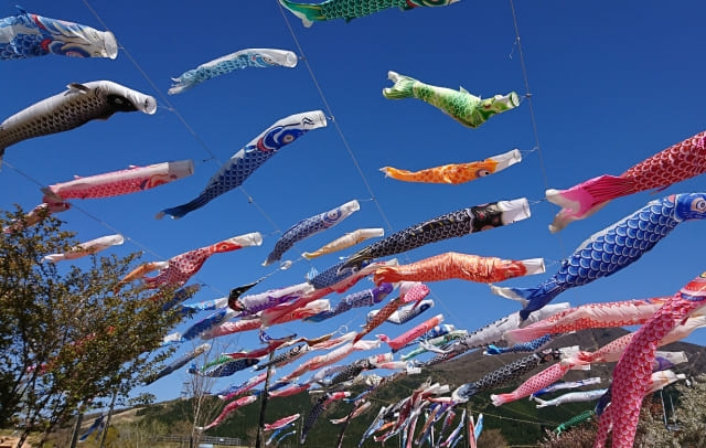 Japan’s Koinobori: History & Meaning