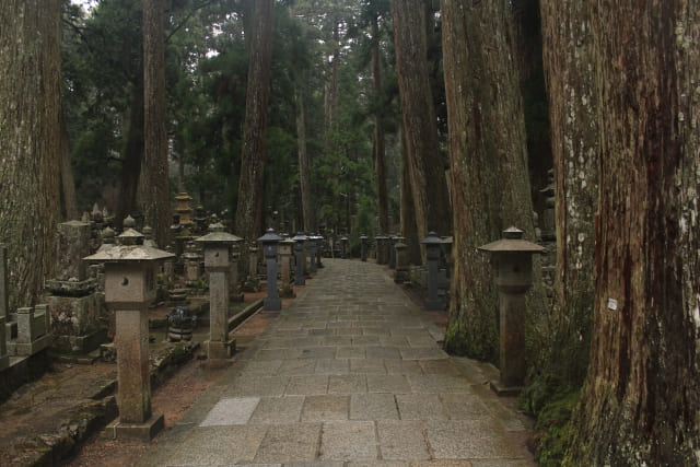 Temple Stays in Japan: What to Expect from a Shukubo Experience