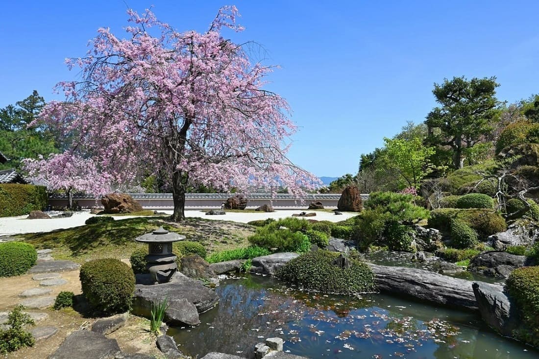 Japanese Garden : Features, Styles, and Best Locations to go