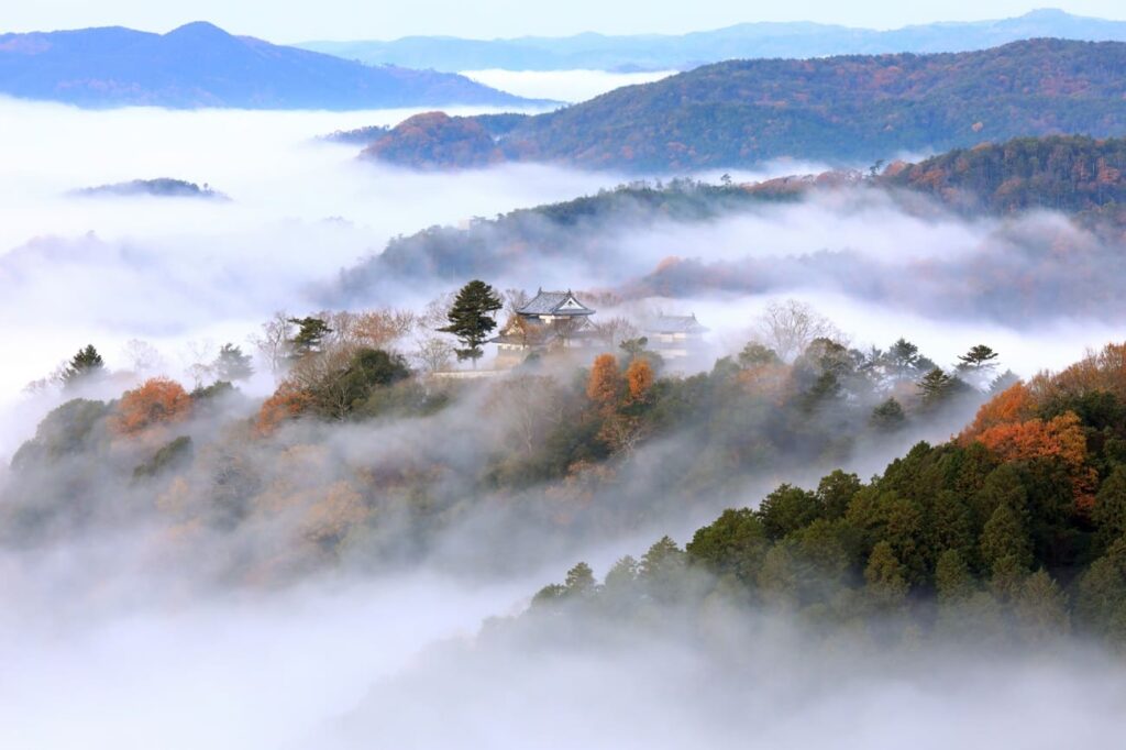 Japanese Castles: History, Role, and Why Most Disappeared