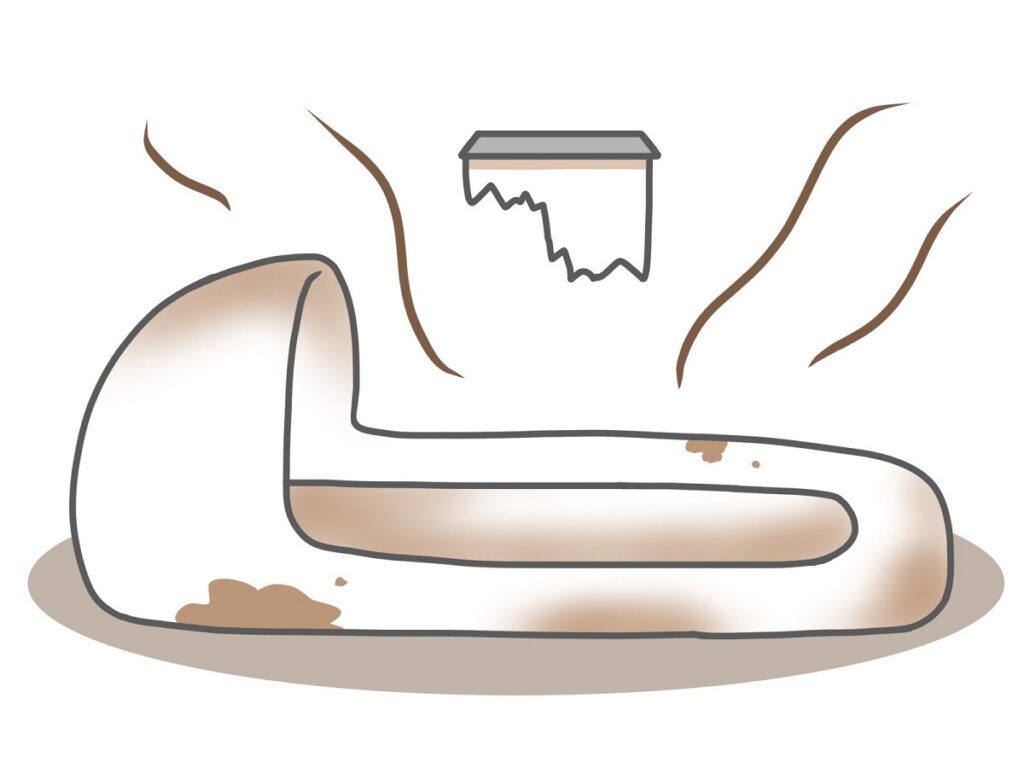 Squat Toilets in Japan: History and How to Use Them
