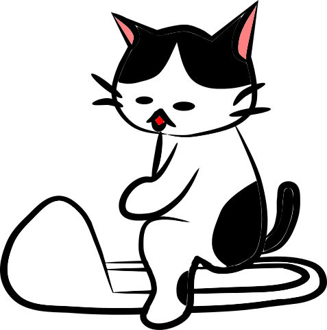 Squat Toilets in Japan: History and How to Use Them