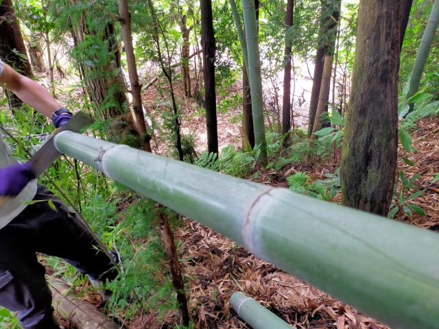 Nagashi Somen: Japan’s Flowing Noodle Fun