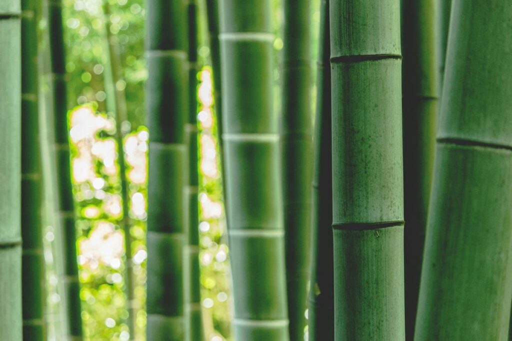 Only take what you can eat.
Use clean chopsticks when catching noodles.
Avoid touching the flowing water with your hands or personal utensils.