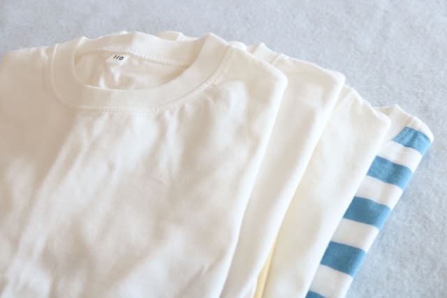 Japan Earthquake Preparedness: Must-Have Emergency Supplies