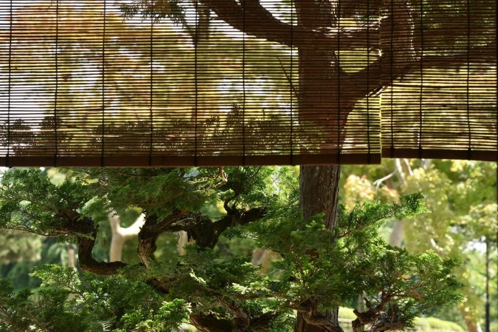 What Is a Sudare? The Traditional Japanese Sunshade