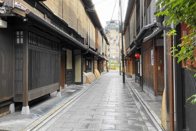 What Is a Sudare? The Traditional Japanese Sunshade