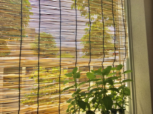 What Is a Sudare? The Traditional Japanese Sunshade
