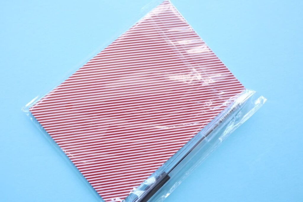 Japan Earthquake Preparedness: Must-Have Emergency Supplies