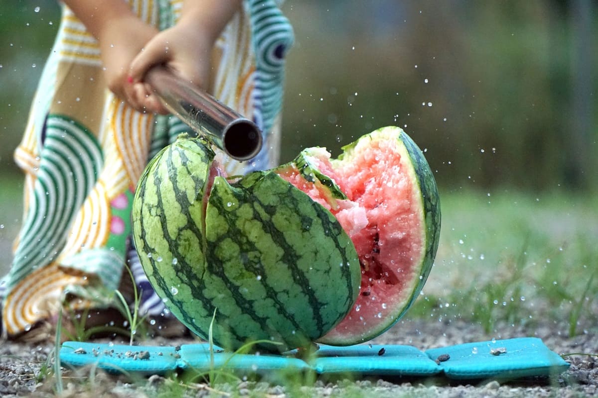 Suika-wari: Japan’s Fun Summer Watermelon-Smashing Game