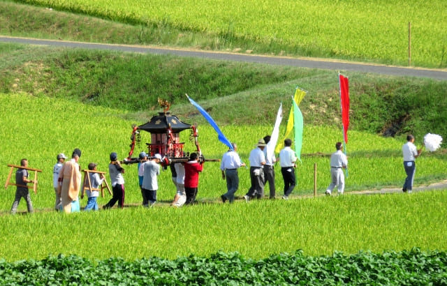 Autumn Festivals in Japan: Mikoshi, Floats, and Tengu