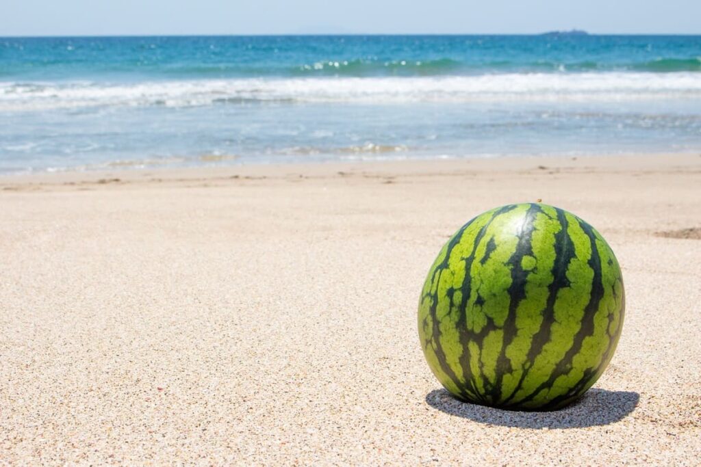 Suika-wari: Japan’s Fun Summer Watermelon-Smashing Game
