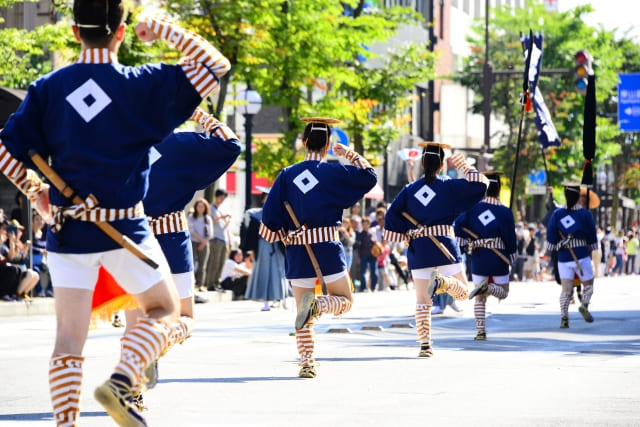 Yakko in Japan: From Tofu to Kites and Festival Dances