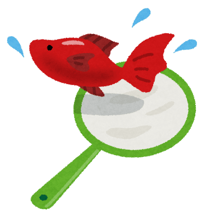 Goldfish Scooping: Japanese Summer Festival Game