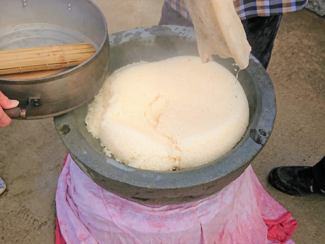 usu and mochi