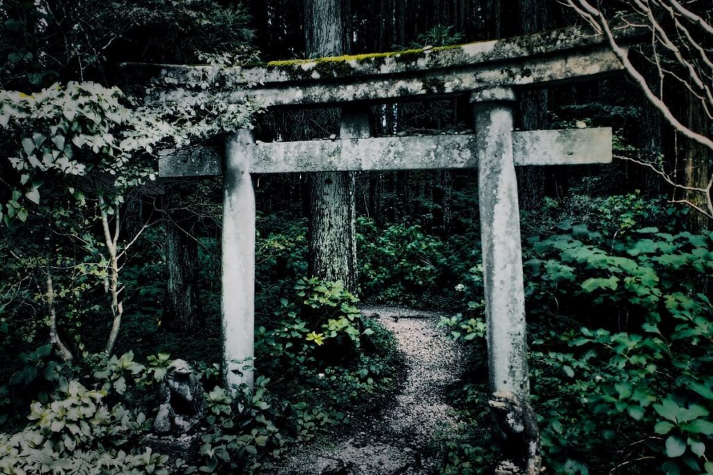 Torii at night